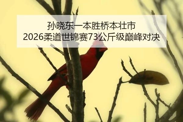 孙晓东一本胜桥本壮市 2026柔道世锦赛73公斤级巅峰对决